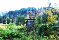 ���ۏ��/�Ίݑ�